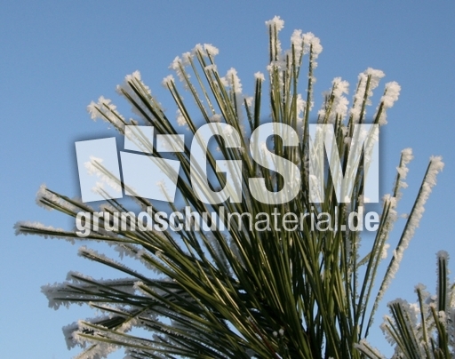 Winterimpressionen 012.jpg